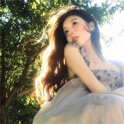 大白鲨4